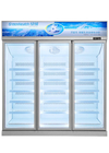直立したガラス アイス クリームの凍らせていた肉のためのドアのフリーザーによって凍らせている表示