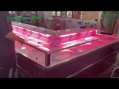 OEM Customization Meat Display Freezer Butcher Equipment