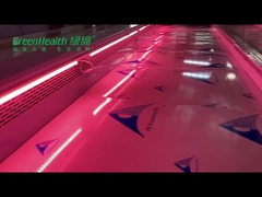 レストランのためのスーパーマーケットの新鮮な肉の表示フリーザーのステンレス鋼