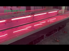 ステンレス鋼の魚の肉屋のための新しいデリカテッセン肉冷却装置