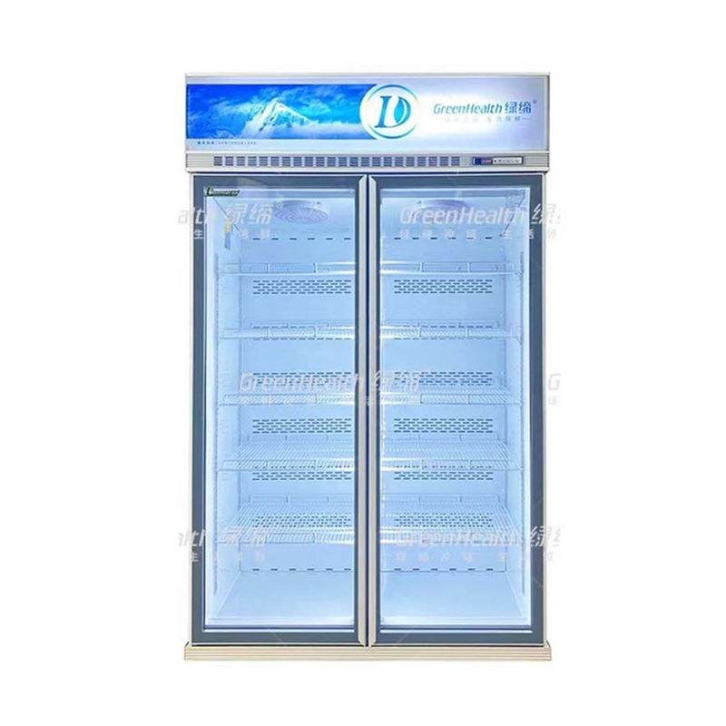 5 層 棚 銀 シャンパン 色 ガラス ドア フリーザー 冷凍 海鮮