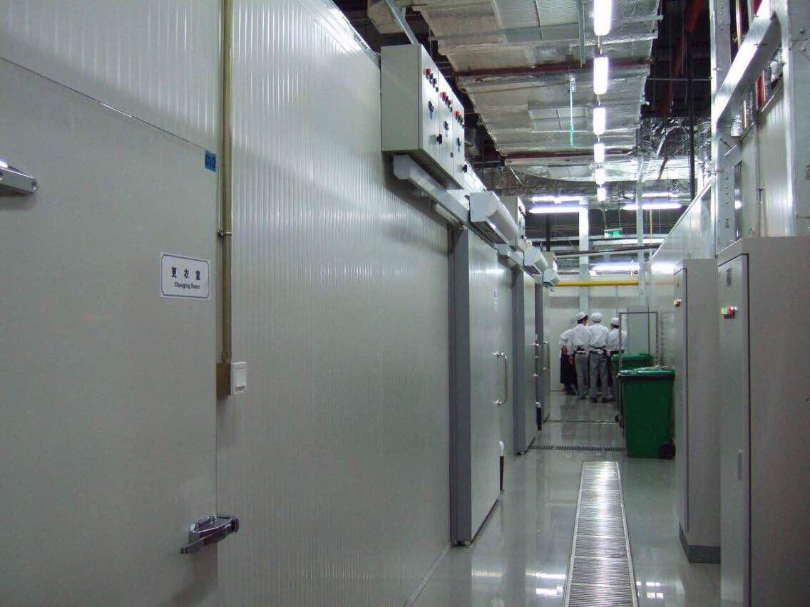 フルーツのプロジェクトの空冷の冷蔵室の冷凍、冷却装置の歩行