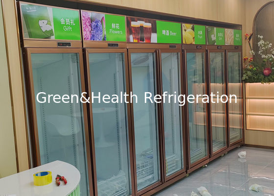 スーパーマーケットのガラス ドアの直立した表示冷却装置飲料冷却装置452L
