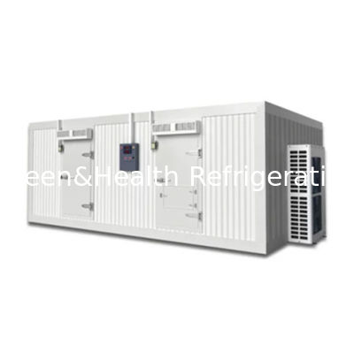 耐久性のある隔熱パネル付きのカスタマイズ可能な冷室ウォークイン冷凍庫