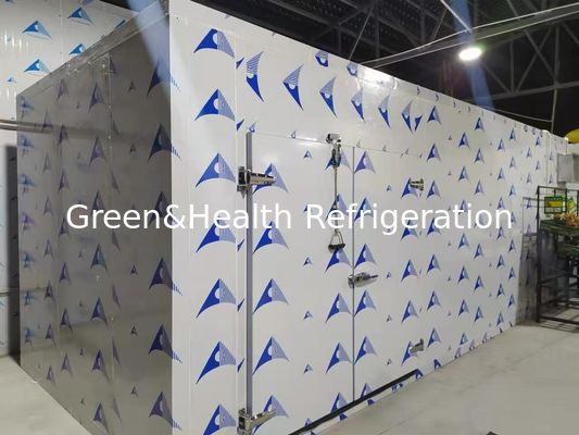 高性能PUパネルを備えたエネルギー効率の良い冷室