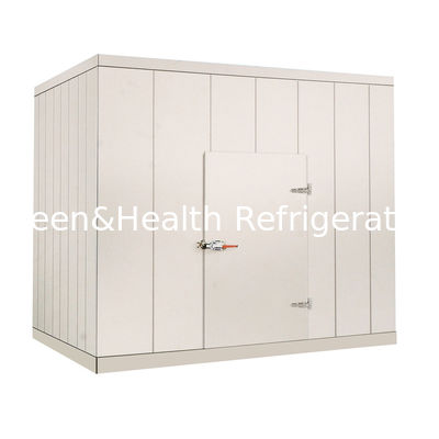 220V / 野菜肉シーフードのためのより冷たい部屋の380V商業歩行